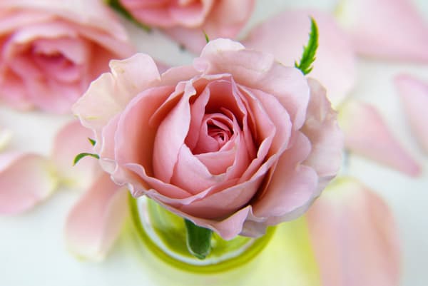 Die Aromatherapie mit ätherischen Ölen wirkt super!